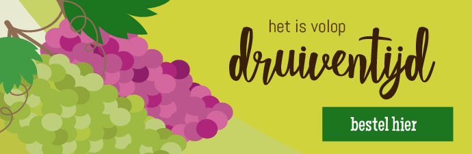 Illusie Faculteit Kneden Groentebroer - Online Groente & Fruit Kopen - Groentebroer.nl
