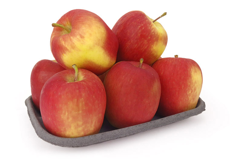 Alkmene Appels Online Kopen. Vandaag Bestellen = Vandaag in Huis