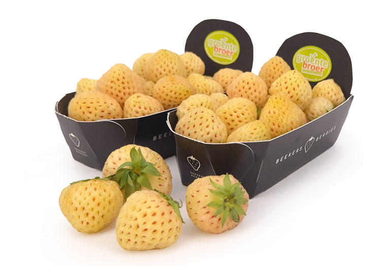 Bestel Ananas Aardbeien bij de Specialist
