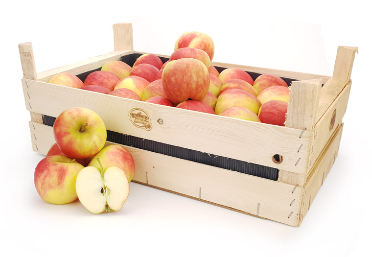 Appels Per Kist Kopen bij de Online Fruitspecialist