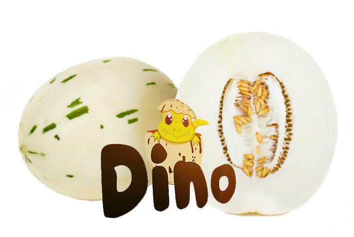 Koop Dinomeloen Online. Vandaag Bestellen = Vandaag in Huis