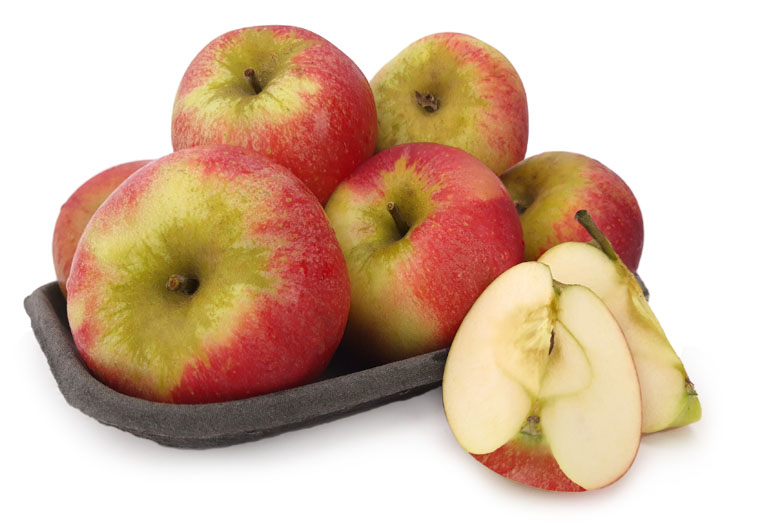 Discovery Online Kopen bij de Fruitspecialist