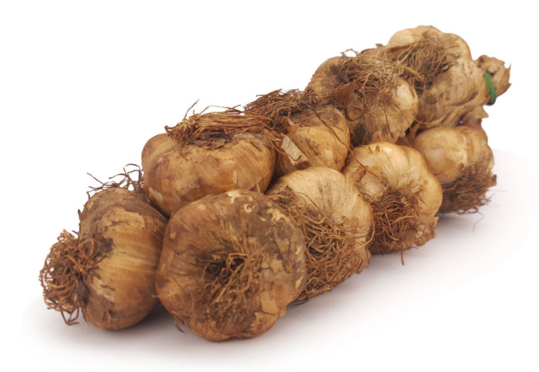Koop Gerookte Knoflook per Streng Online