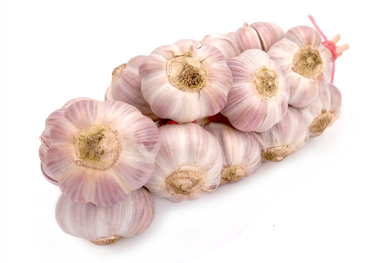 Koop een hele streng Lautrec Knoflook Online