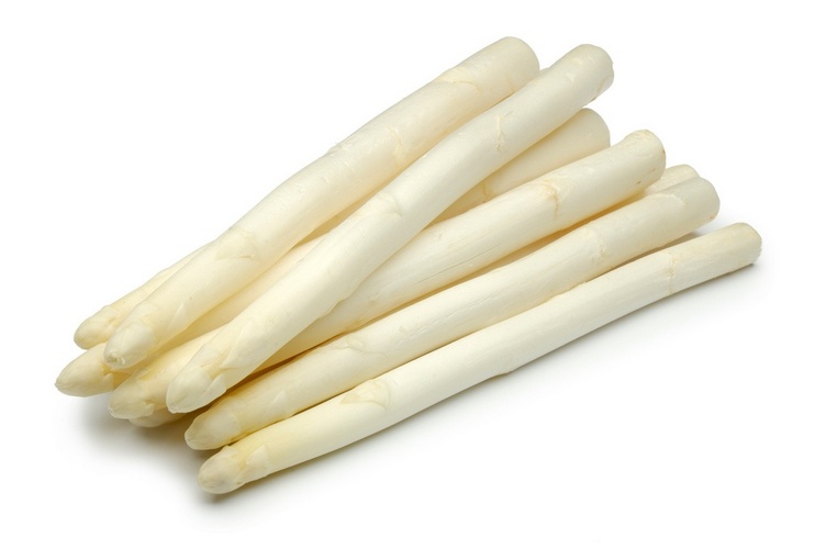 Koop Online Hollandse Asperges bij de Specialist