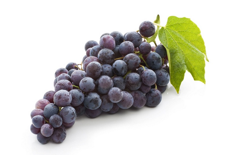 Bestel hier zoete Hollandse Blauwe Druiven Online