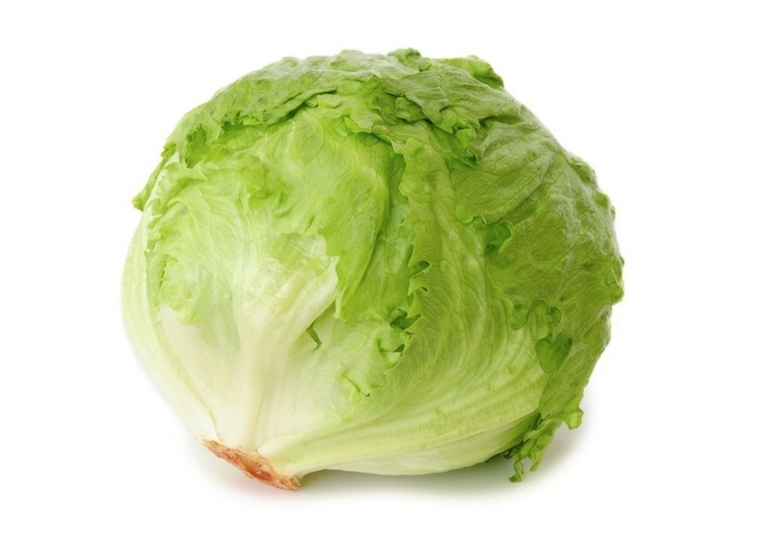 Online Ijsbergsla Kopen bij Groentebroer.nl