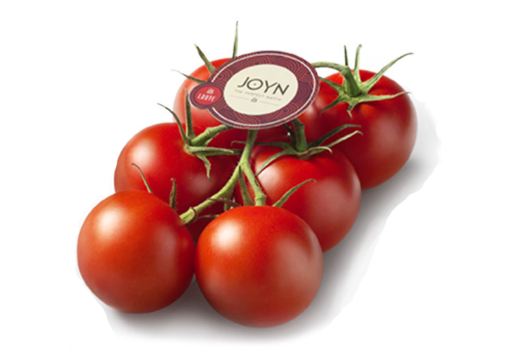 Koop JOYN - Tomaten Online bij de Specialist in groente en fruit