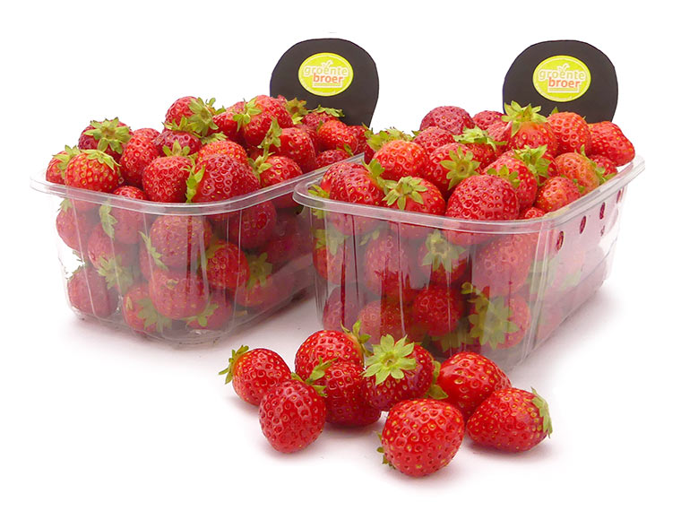 Koop Kleine Aardbeien Online. Vandaag besteld = Vandaag bezorgd