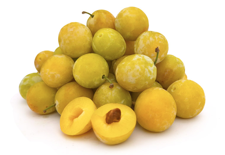 Mirabellen Online Kopen bij de Fruitspecialist