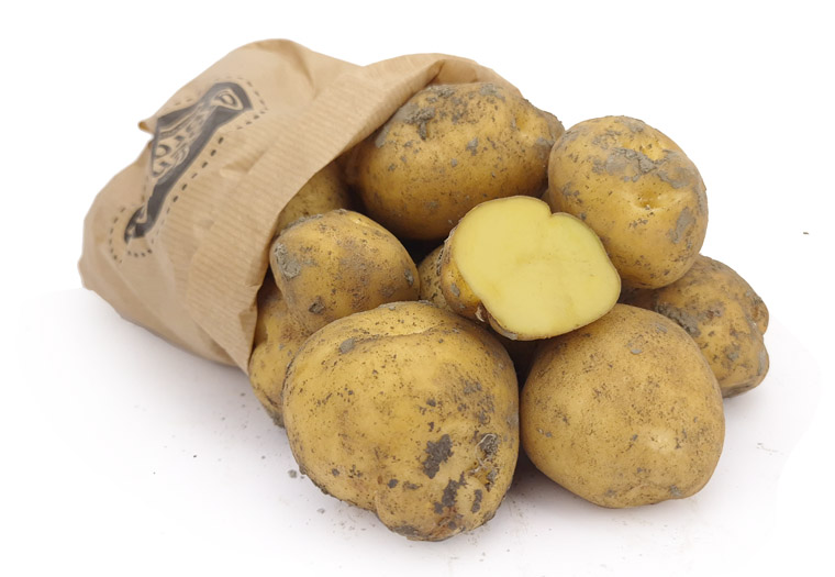 Koop Opperdoeze Ronde Aardappelen bij de specialist