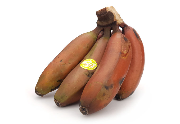 Bestel Rode Bananen Online bij de Specialist