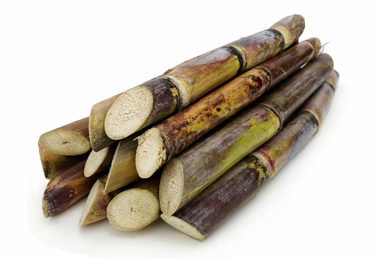 Suikerriet (Sugar Cane) online kopen bij de Fruitspecialist