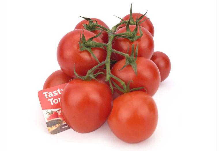 Online Kruidige Tastytom Tomaten Kopen bij Groentebroer