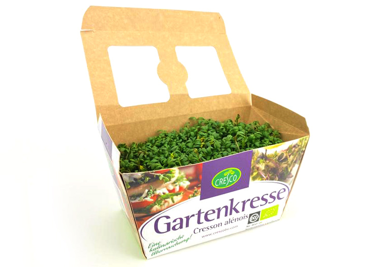 Koop Lekkere Groente en Fruit Online bij de Specialist