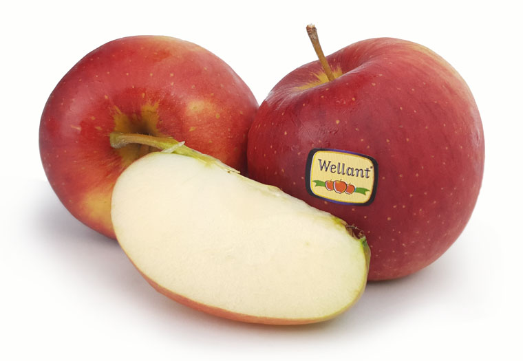 Koop Hollandse Wellant Appels bij de Specialist