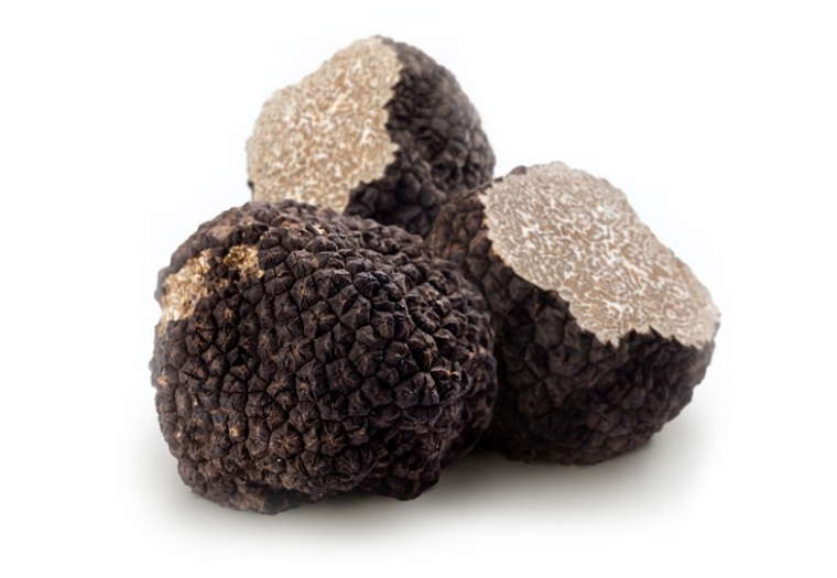 Koop Zwarte Wintertruffel Online. Vandaag Bestellen = Vandaag in Huis
